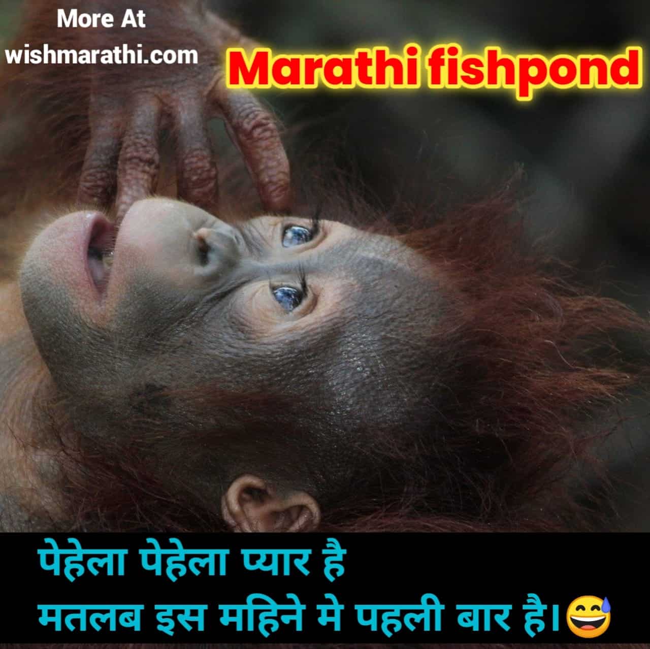 best-funny-marathi-fishponds