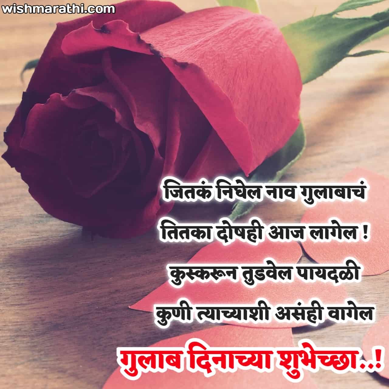rose day images marathi